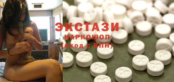 крисы Каменка