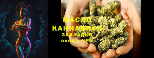 крисы Каменка