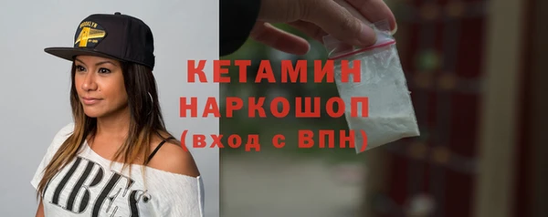 крисы Каменка