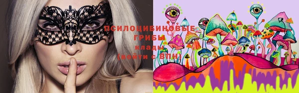 мяу мяу мука Каменногорск