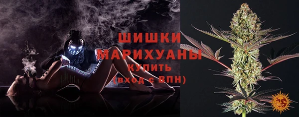крисы Каменка
