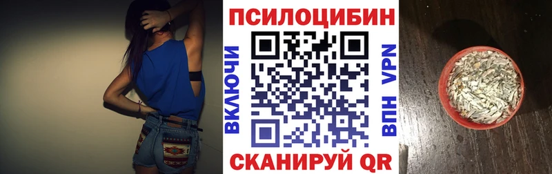 Галлюциногенные грибы мицелий  Купить где  Дудинка 